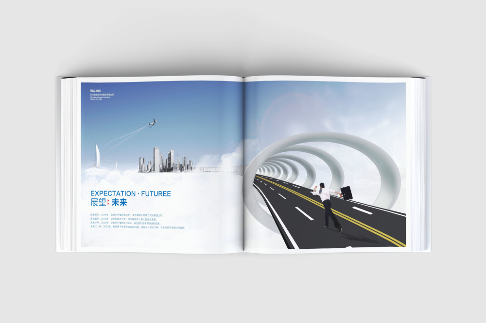 乐至县画册设计